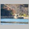 DSCN0640.JPG