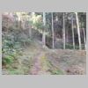 DSCN0564.JPG