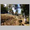 DSCN0578.JPG
