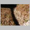 DSCN0583.JPG