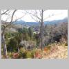 DSCN0590.JPG