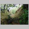 DSCN9022.JPG