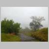 DSCN9034.JPG