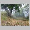 DSCN9054.JPG