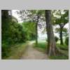 DSCN9725.JPG