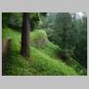 DSCN9769.JPG