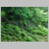 DSCN9792.JPG