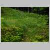 DSCN9794.JPG