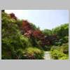 DSCN9801.JPG