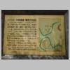 DSCN9817.JPG