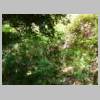 DSCN9823.JPG