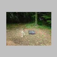 DSCN8461.JPG