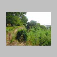 DSCN8462.JPG