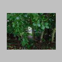 DSCN8466.JPG