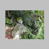 DSCN8469.JPG