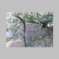 DSCN8475.JPG