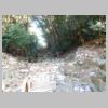 DSCN0377.JPG