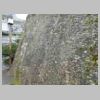 DSCN9189.JPG