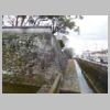 DSCN9227.JPG