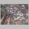 DSCN9248.JPG