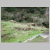 DSC04242.JPG