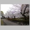 DSCN0236.JPG