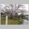 DSCN0242.JPG