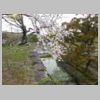 DSCN0268.JPG