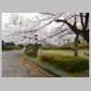 DSCN0303.JPG