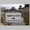 DSCN8767.JPG