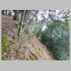DSCN8679.JPG
