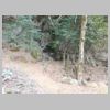 DSCN8706.JPG