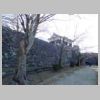 DSCN8615.JPG