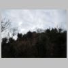 DSCN8558.JPG