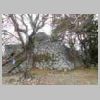 DSCN8566.JPG
