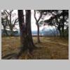 DSCN8580.JPG