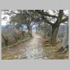 DSCN8583.JPG
