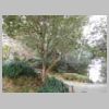 DSCN8522.JPG