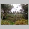 DSCN8531.JPG