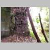 DSCN8635.JPG