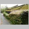 DSCN8639.JPG