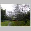 DSCN8565.JPG