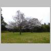 DSCN8582.JPG