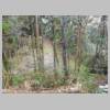DSCN8583.JPG