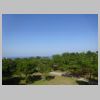 DSC03650.JPG