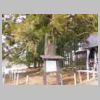 DSCN9419.JPG