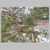 DSCN9420.JPG