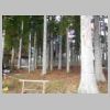 DSCN9426.JPG