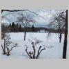 DSCN9427.JPG