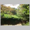 DSC02135.JPG